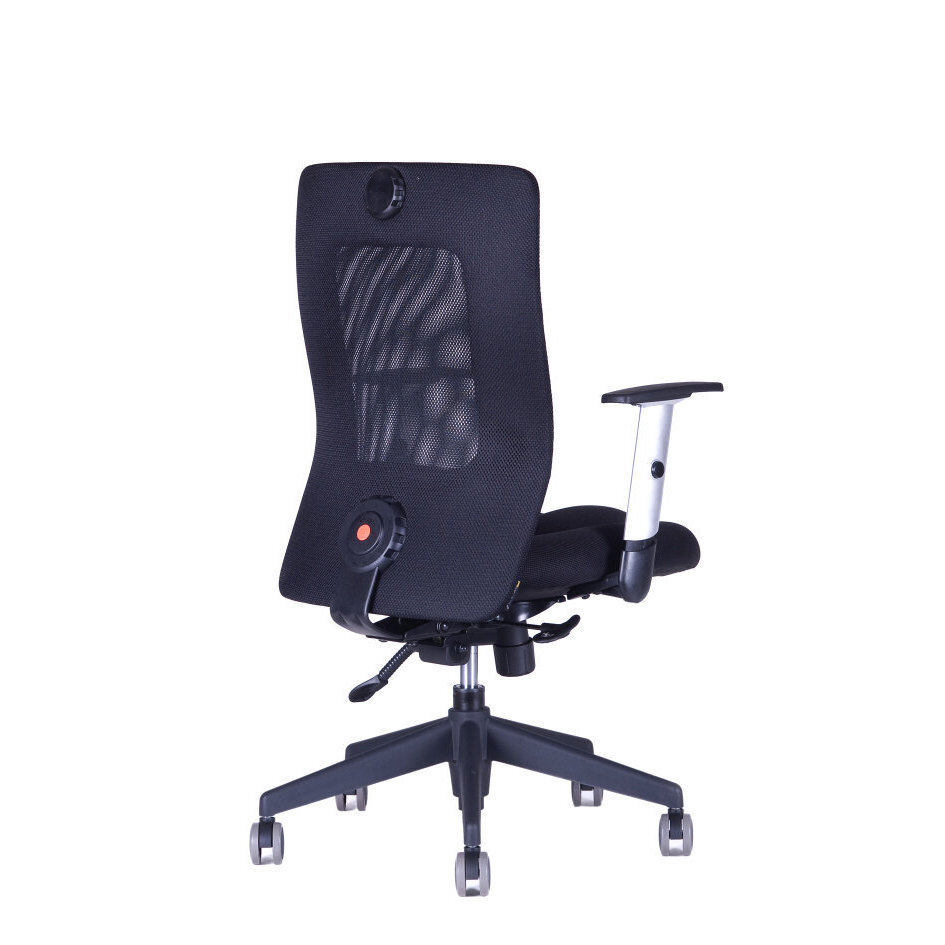 Kancelářská židle CALYPSO XL BP