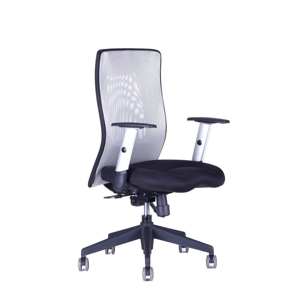 Kancelářská židle CALYPSO XL BP