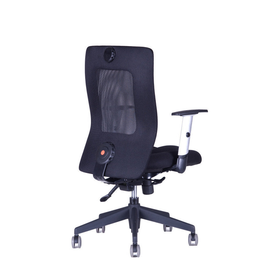Kancelářská židle CALYPSO XL BP