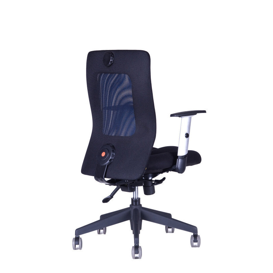 Kancelářská židle CALYPSO XL BP