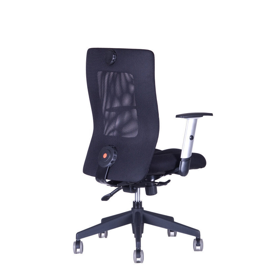Kancelářská židle CALYPSO XL BP