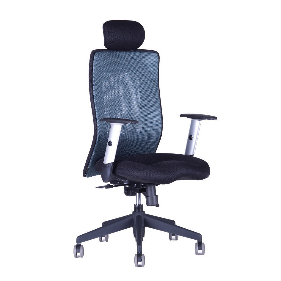 Kancelářská židle CALYPSO XL SP4