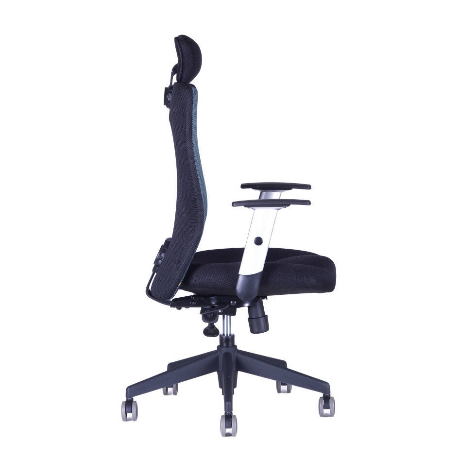 Kancelářská židle CALYPSO XL SP4