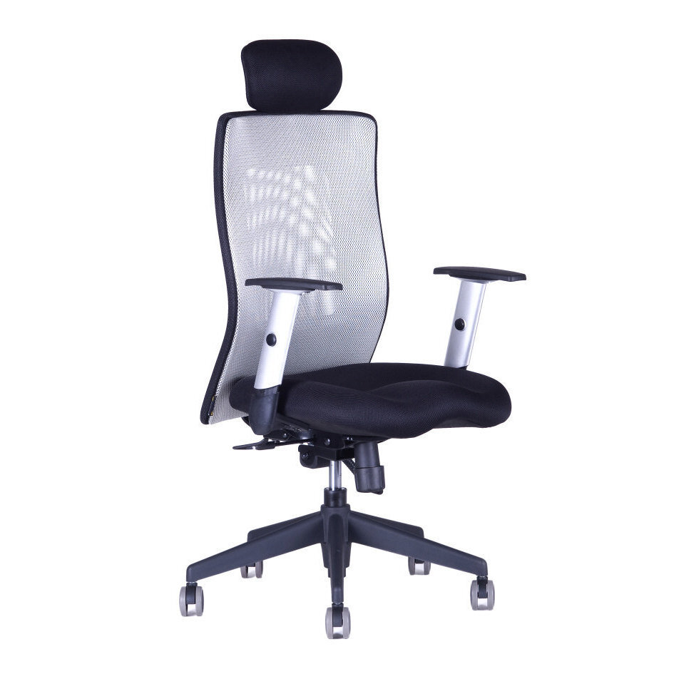 Kancelářská židle CALYPSO XL SP4