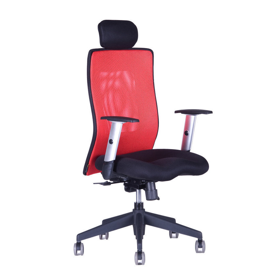 Kancelářská židle CALYPSO XL SP4