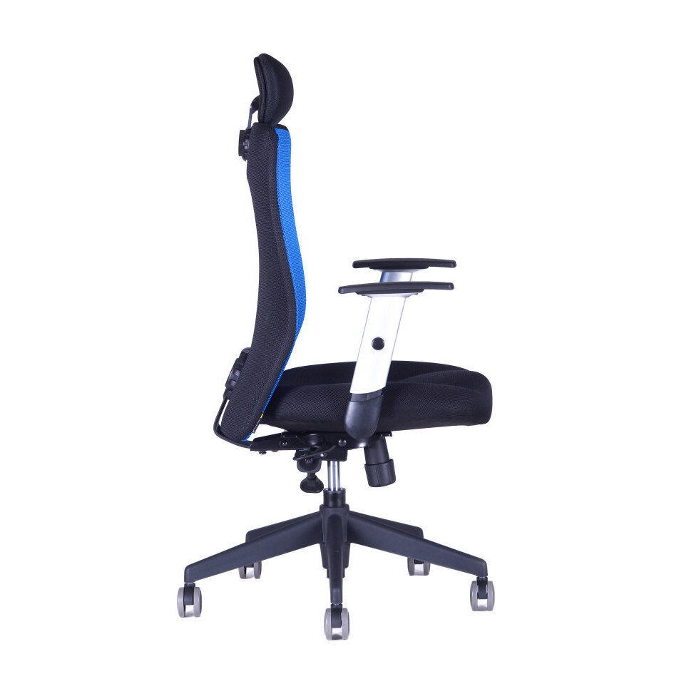 Kancelářská židle CALYPSO XL SP4
