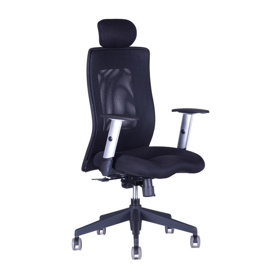 Kancelářská židle CALYPSO XL SP4