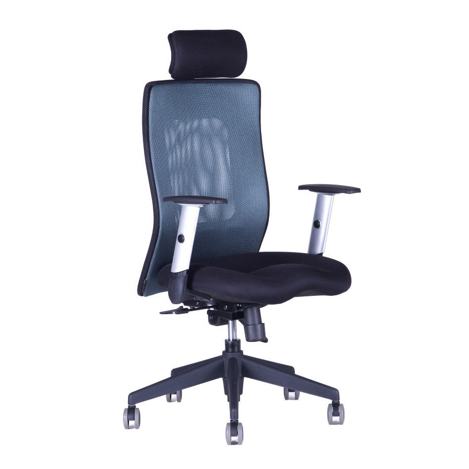 Kancelářská židle CALYPSO XL SP1