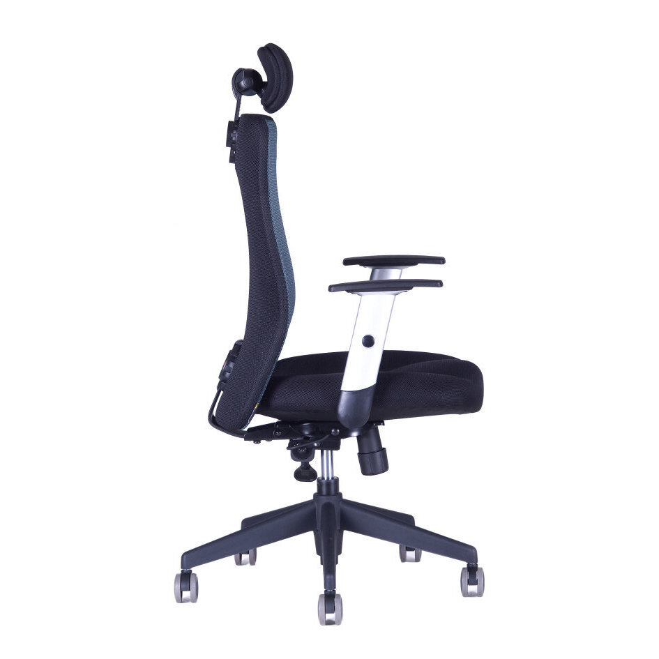 Kancelářská židle CALYPSO XL SP1