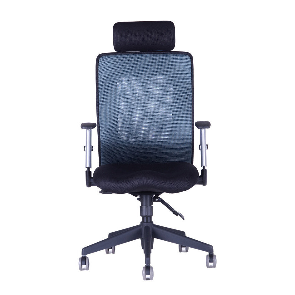 Kancelářská židle CALYPSO XL SP1