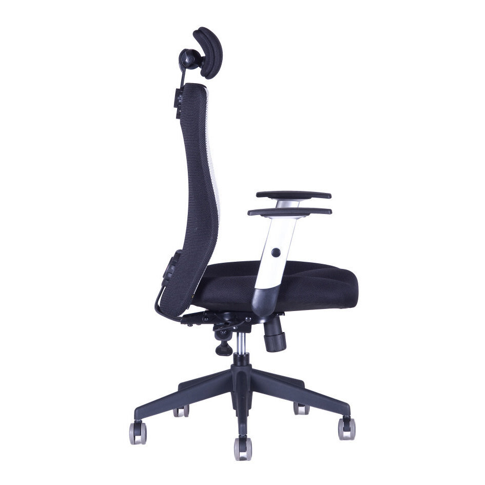 Kancelářská židle CALYPSO XL SP1