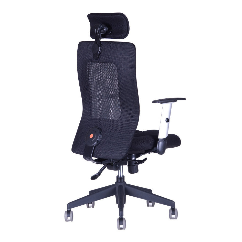 Kancelářská židle CALYPSO XL SP1