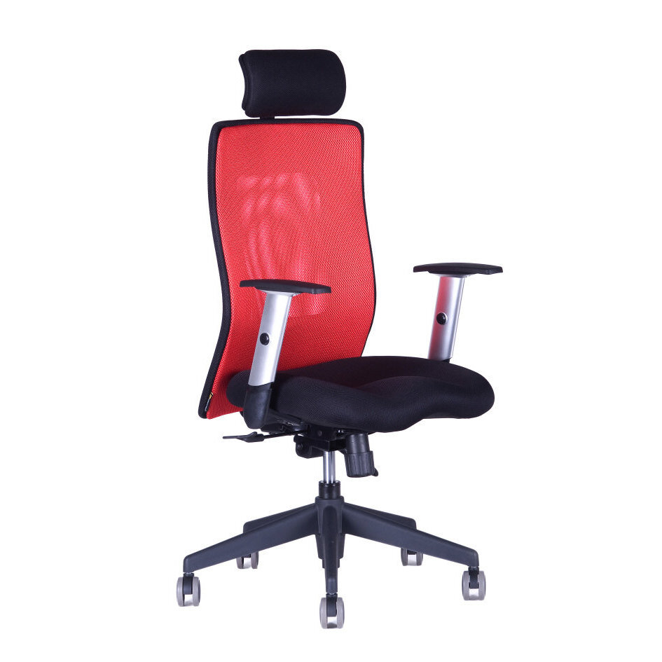 Kancelářská židle CALYPSO XL SP1