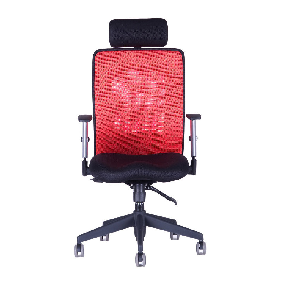 Kancelářská židle CALYPSO XL SP1