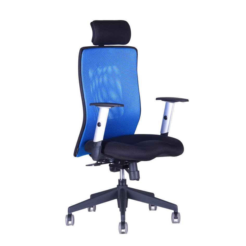 Kancelářská židle CALYPSO XL SP1
