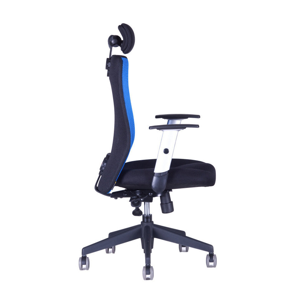 Kancelářská židle CALYPSO XL SP1