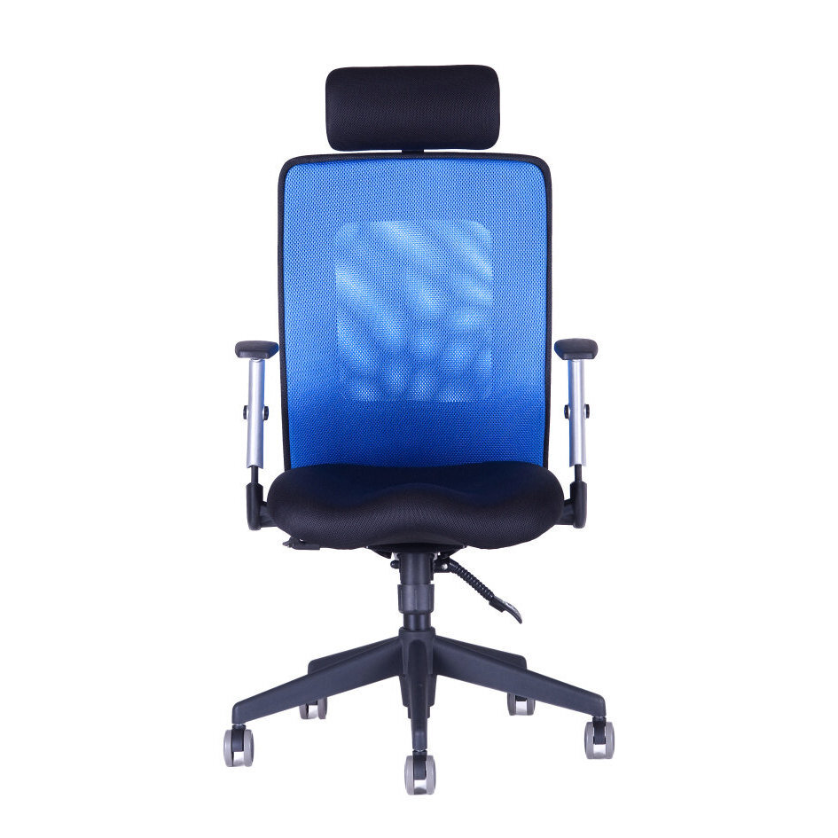 Kancelářská židle CALYPSO XL SP1