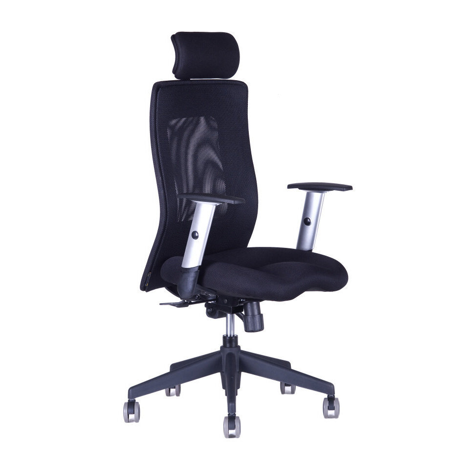 Kancelářská židle CALYPSO XL SP1