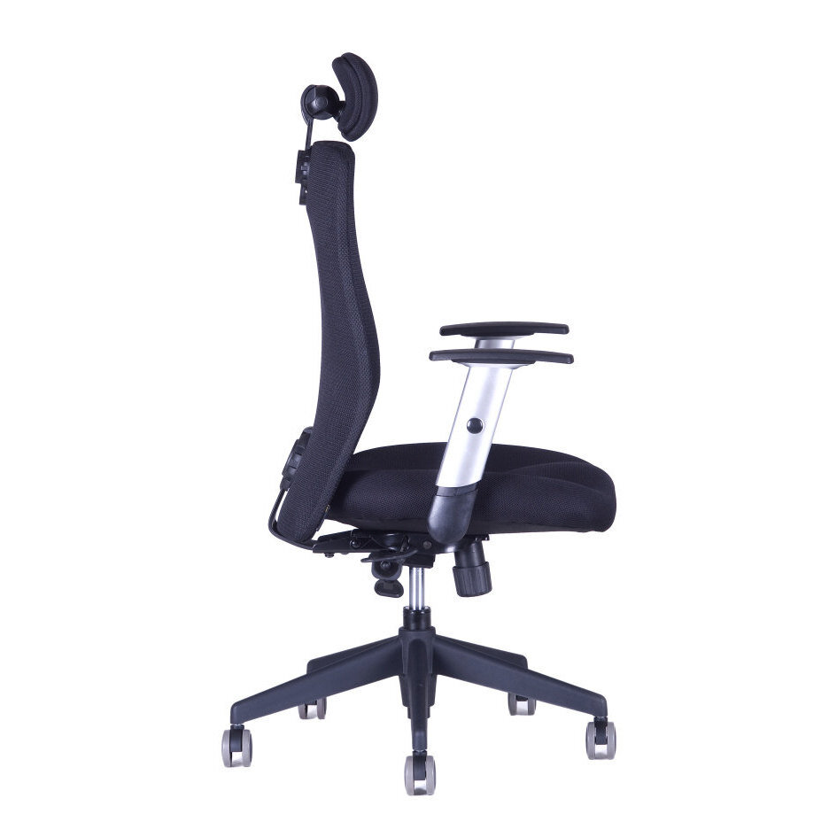 Kancelářská židle CALYPSO XL SP1