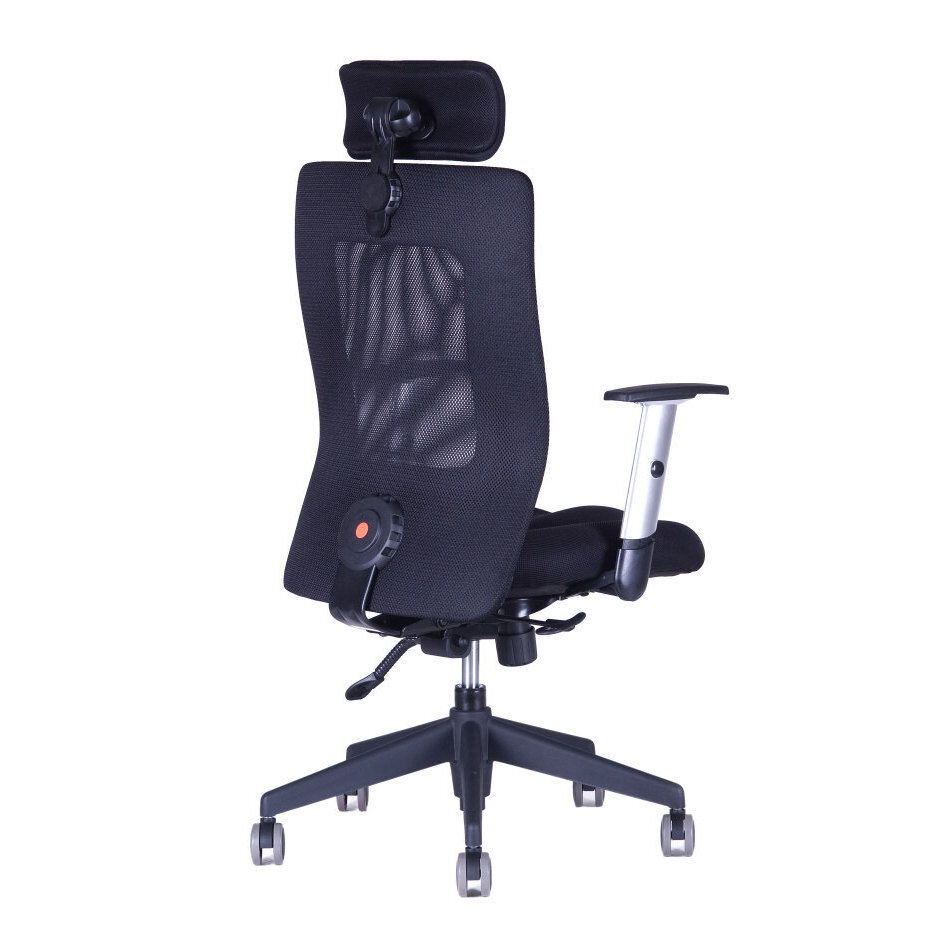 Kancelářská židle CALYPSO XL SP1