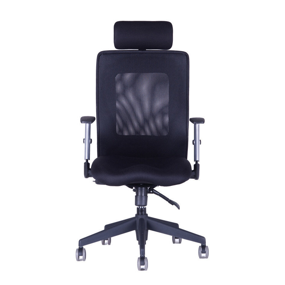 Kancelářská židle CALYPSO XL SP1