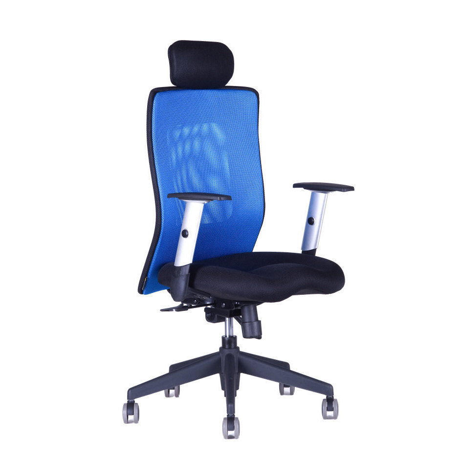 Kancelářská židle CALYPSO XL SP4