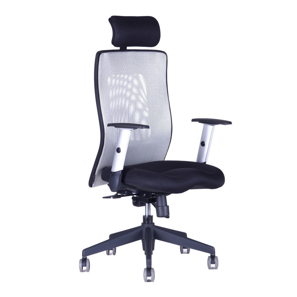 Kancelářská židle CALYPSO XL SP1