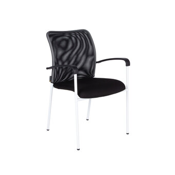 Meeting chair TRITON WHITE