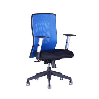 Kancelářská židle CALYPSO XL BP